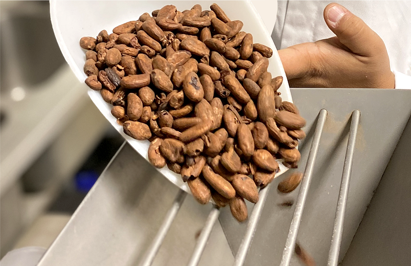 Broyage des fèves de cacao pour tablette de chocolat bean to bar made in FRance
